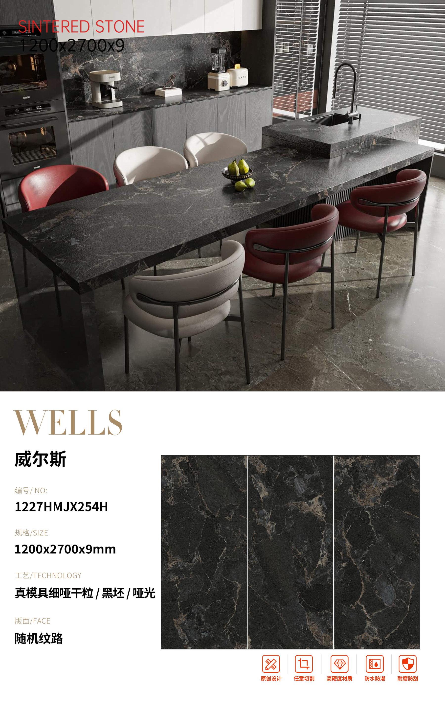 SFR1227HMJX254H 威尔斯