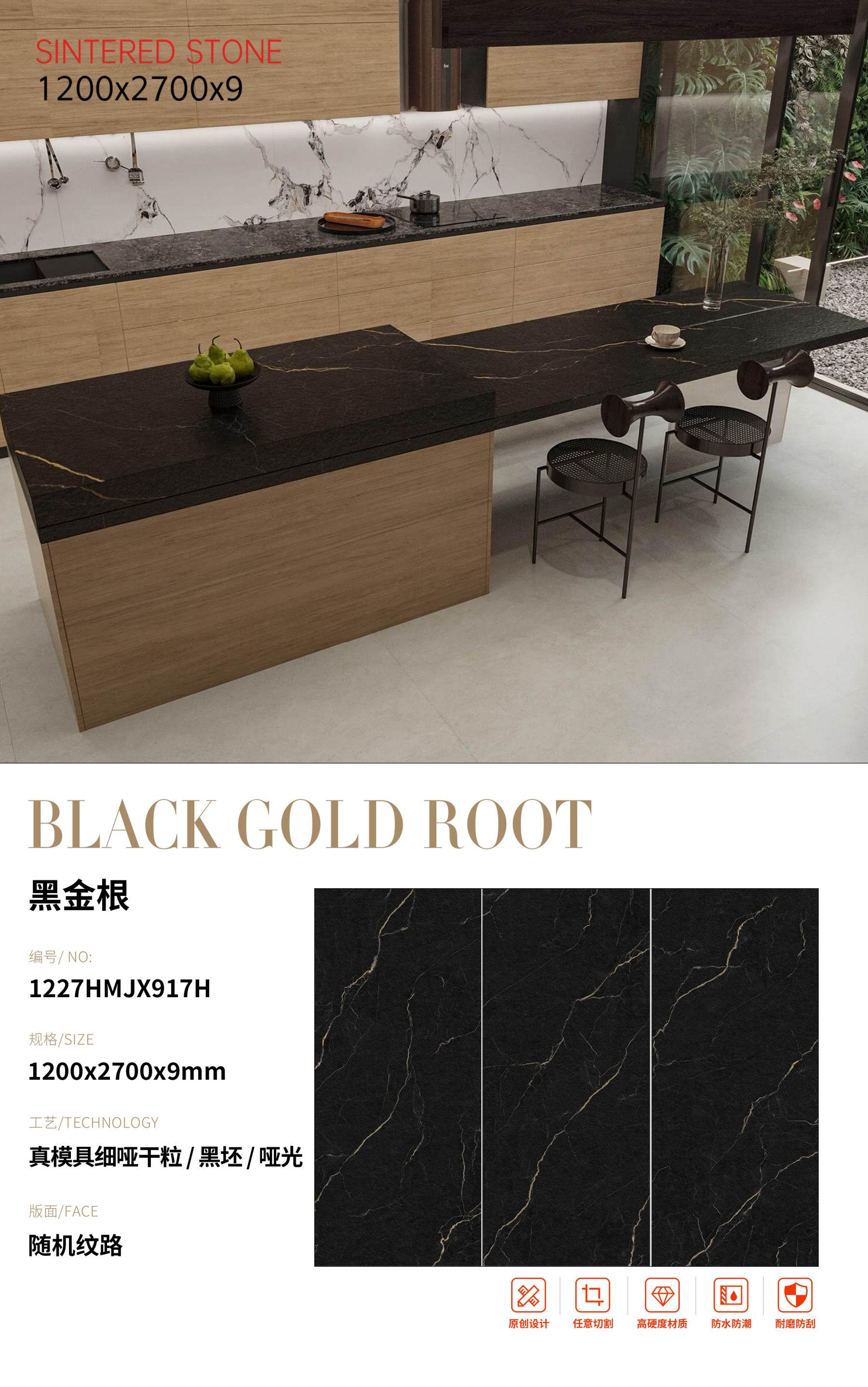 SFR1227HMJX917H 黑金根