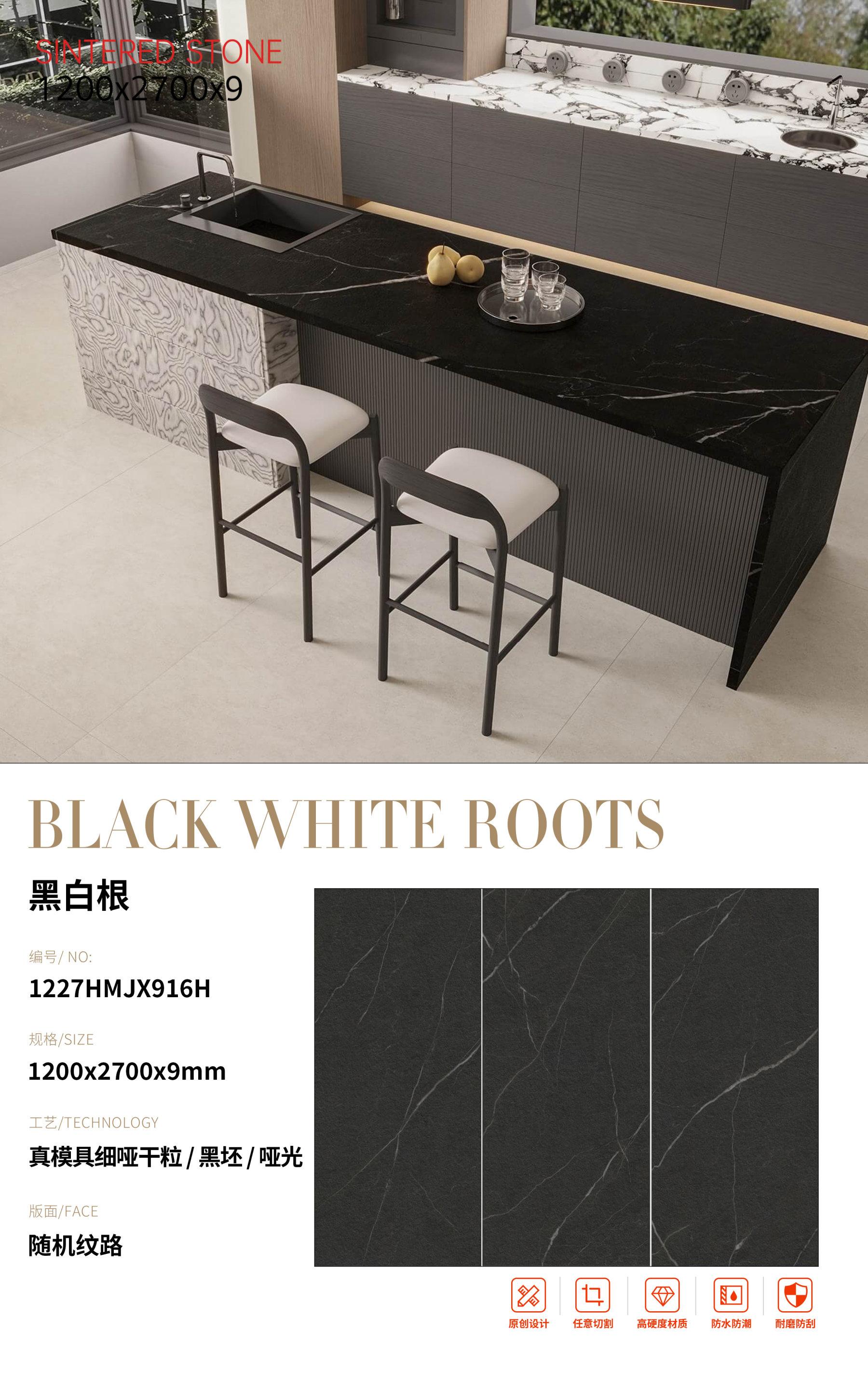 SFR1227HMJX916H 黑白根