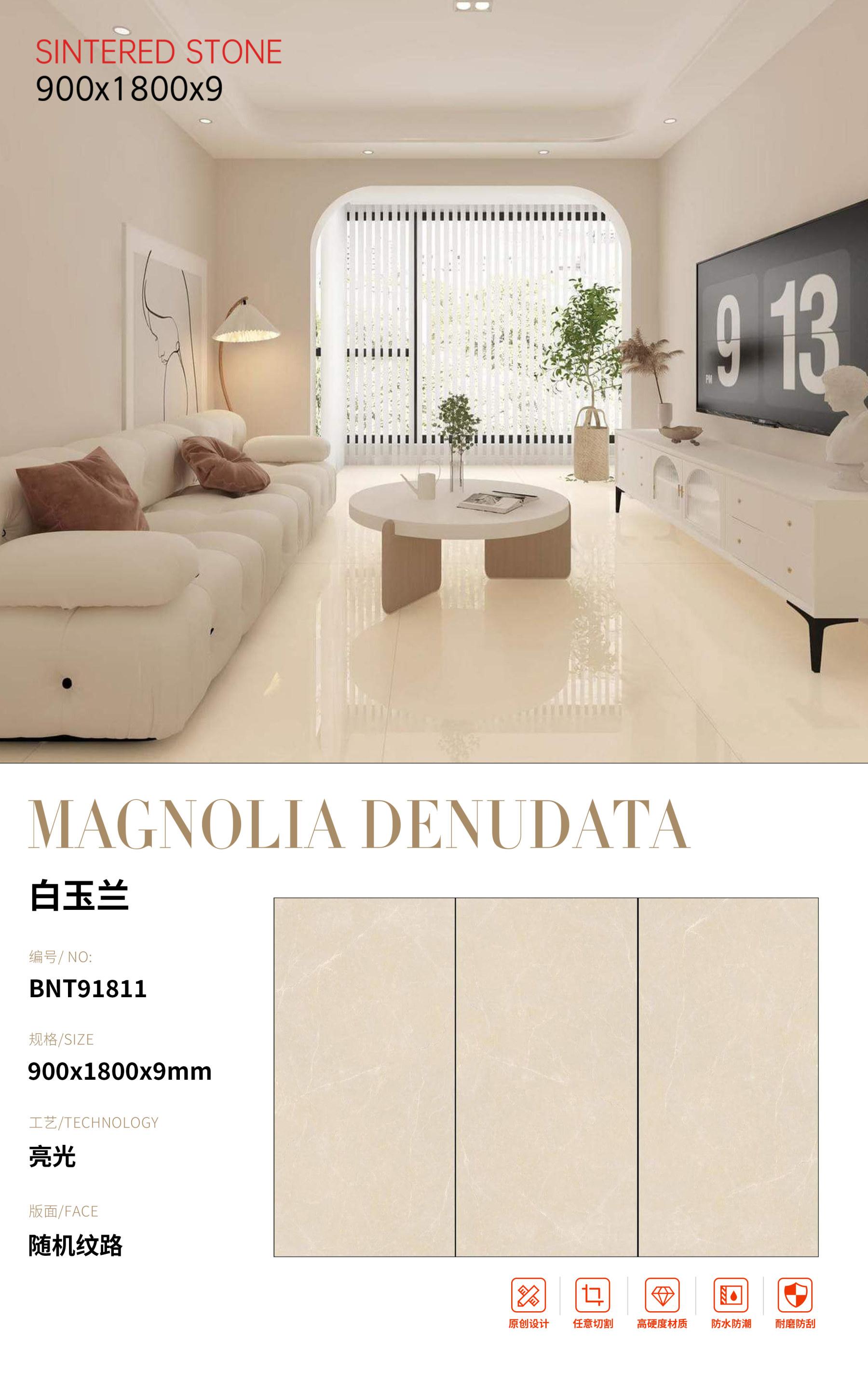 SFRBNT91811 白玉兰