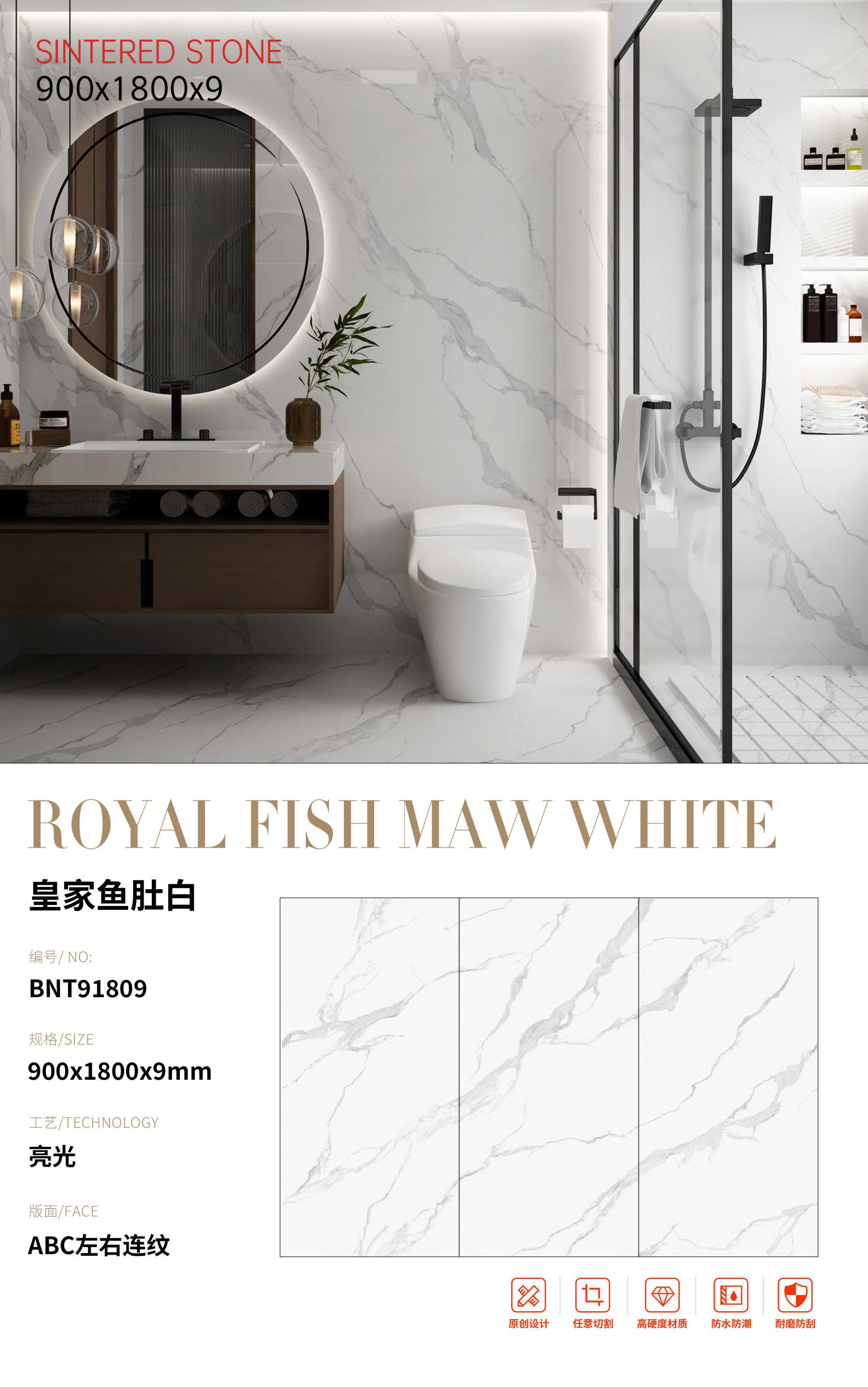 SFRBNT91809 皇家鱼肚白